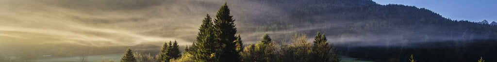 WUDN + Modern Era Weddings Team Up for the Ultimate Wedding Giveaway