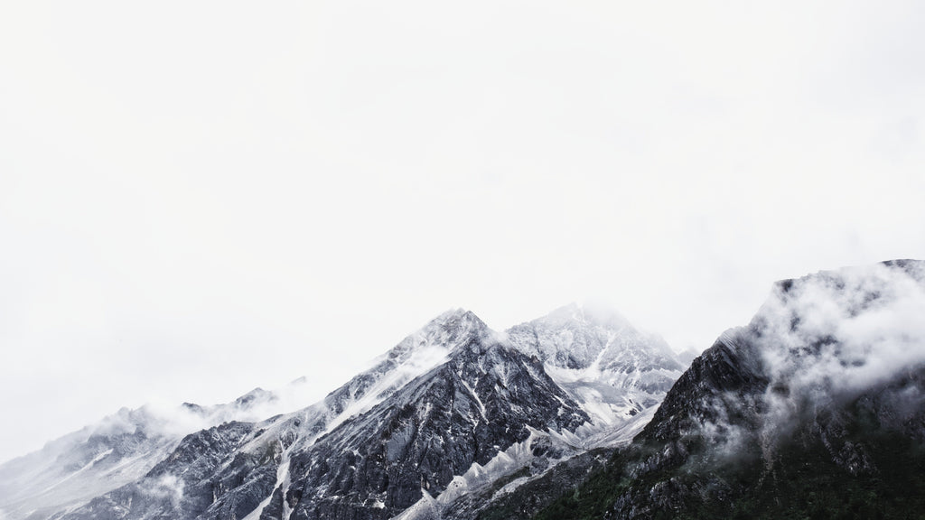 Traveler - Adventure Bundle