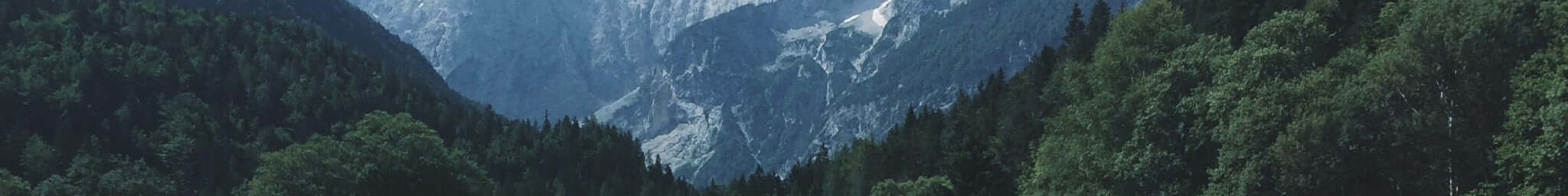 All Wooden iPhone Cases