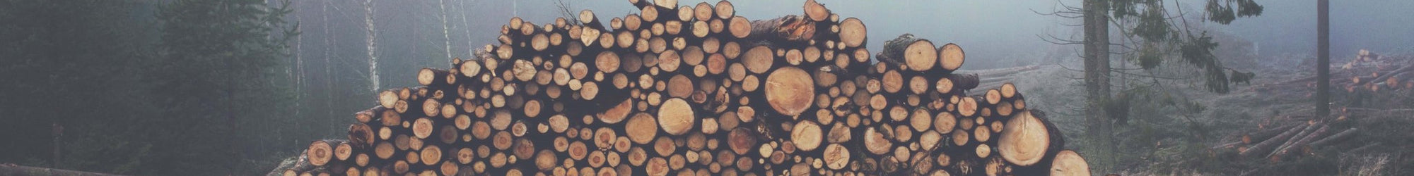 Wooden Bar