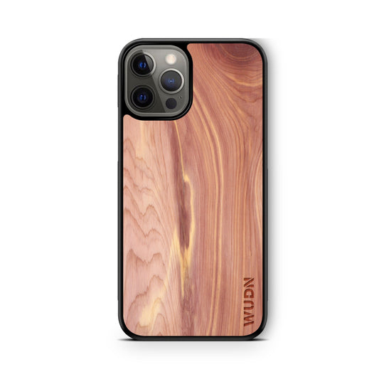 ‘Secret button’ on the back of your iPhone goes viral on TikTok