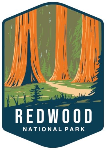 Redwood National and State Parks (Part 11 of Our National Park Series)