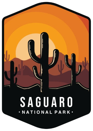 Saguaro National Park (Part 23 of Our National Park Series)