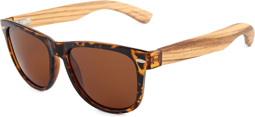 Men's Wooden Sunglasses – KiwiKool.Co