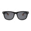 Hybrid Skatedeck Wanderer Sunglasses with Escalator Blue Temple by WUDN